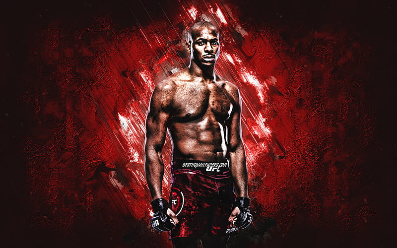 Mike Rodriguez, UFC, american fighter, portrait, red stone background, Ultimate Fighting Championship, HD wallpaper