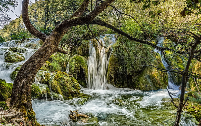Plitvice lakes, waterfall, lake, forest, Croatia, Plitvice Lakes National Park, HD wallpaper