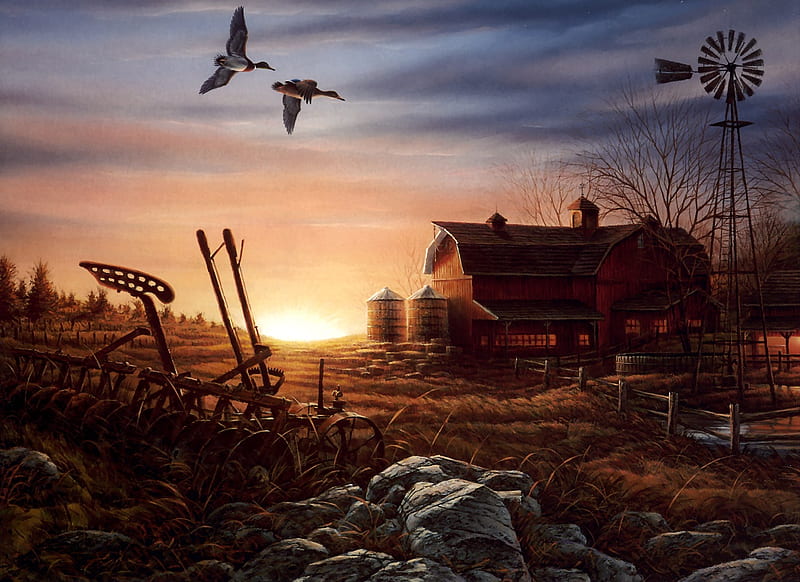 EVENING CHORES ALL DONE ON FARM, color, sunset, bonito, of, HD wallpaper