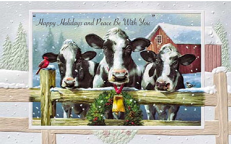 Christmas Holiday Cows, fence, holidats, wreath, christmas, barn, winter, farm, merry christmas, snow, drawing, Cows, HD wallpaper