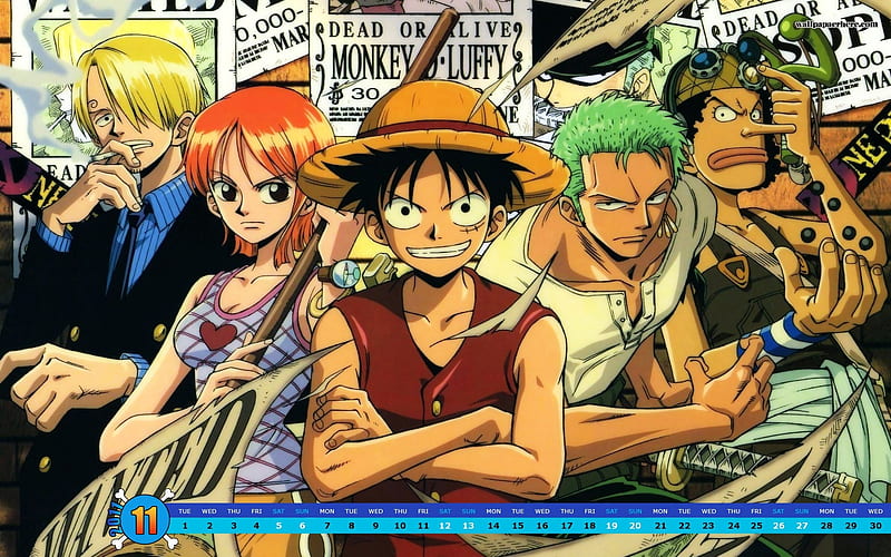 One Piece-November 2011 - Calendar, HD wallpaper