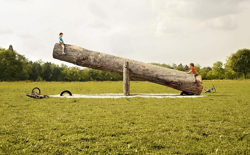 Forest Playground forest, tree, kids, HD wallpaper