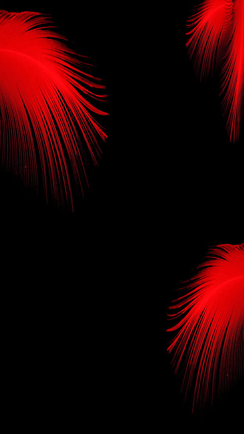 Feathers, feather, red, HD phone wallpaper
