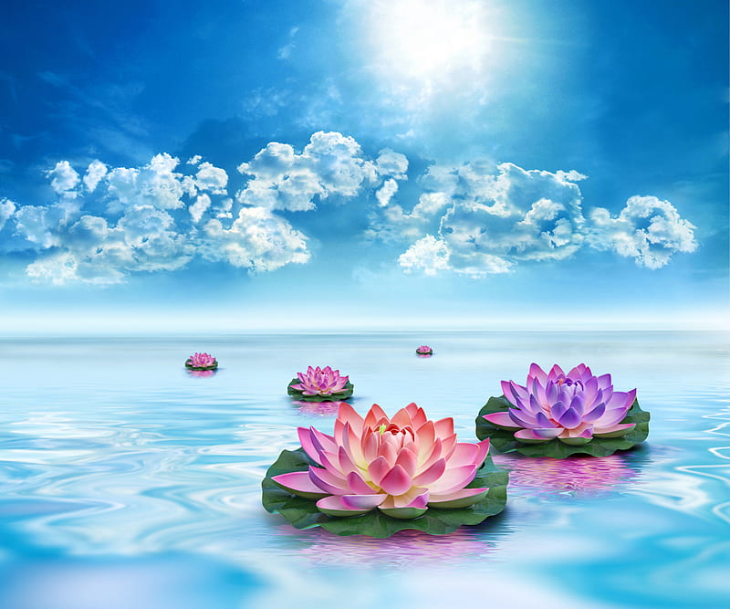 Water lilies sunset, fantasy, peaceful place, water, sunshine, clouds, relaxation, water lilies, blue, HD wallpaper