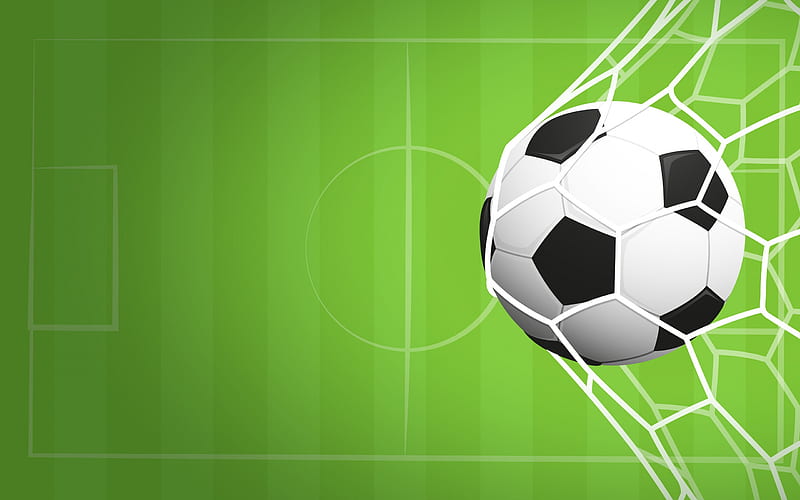 Football, goal, soccer ball, soccer field, stadium, concepts football, HD  wallpaper | Peakpx