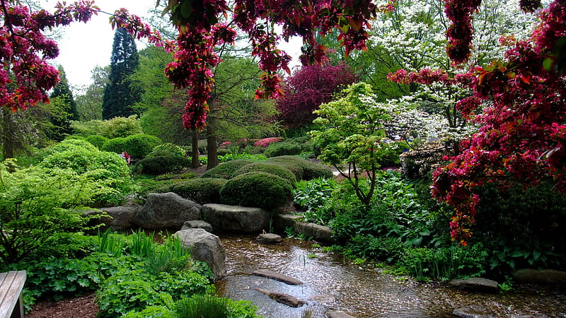 Garden With Stream Moss Stones And Flowers Garden, HD wallpaper