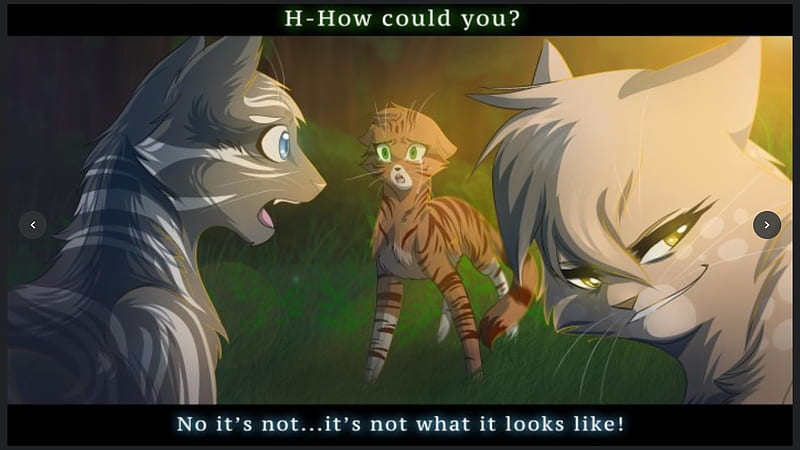 HOW COULD YOU!!!, cheating, Breakups, smirk, Cats, HD wallpaper