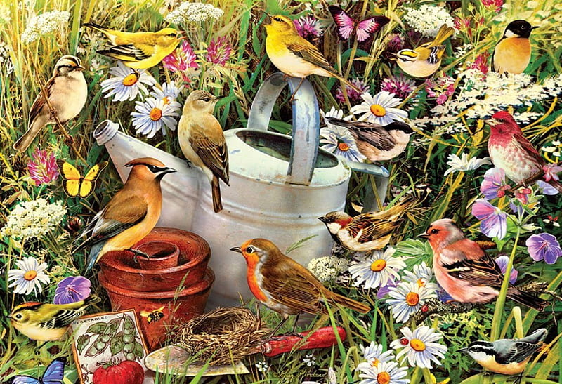 Birds -n- Blooms, lori, s, time, birds, spring, puzzle, fun, blooms, HD wallpaper