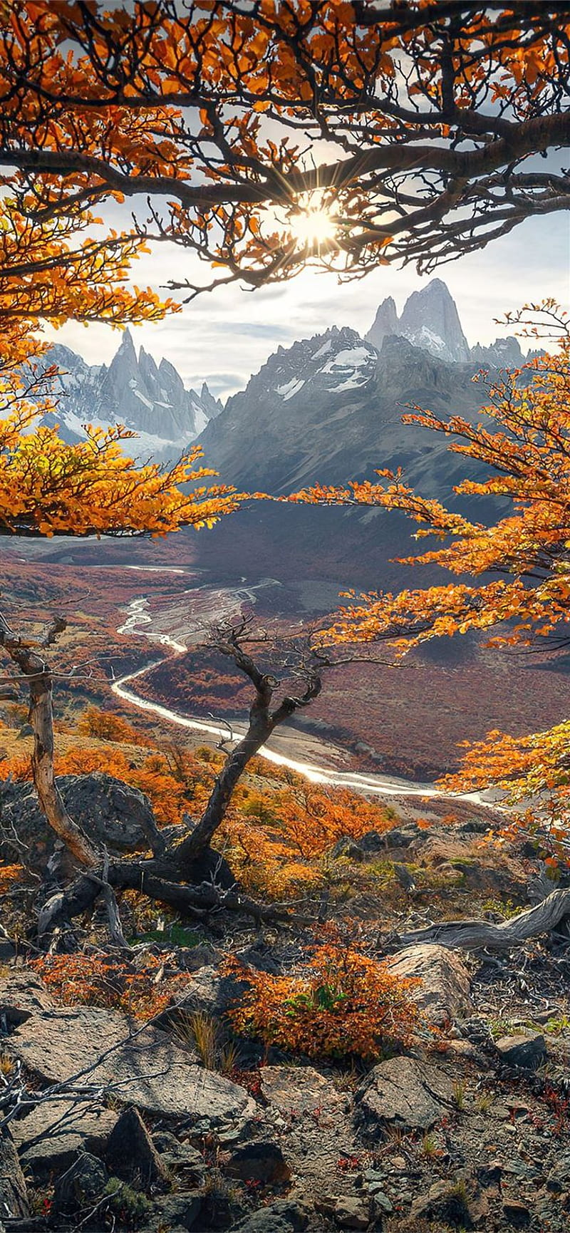 the beautiful autumn colours in patagonia , beaty your iphone. #autumn. Scenery , Scenic , iPhone mountains, Autumn 11, HD phone wallpaper