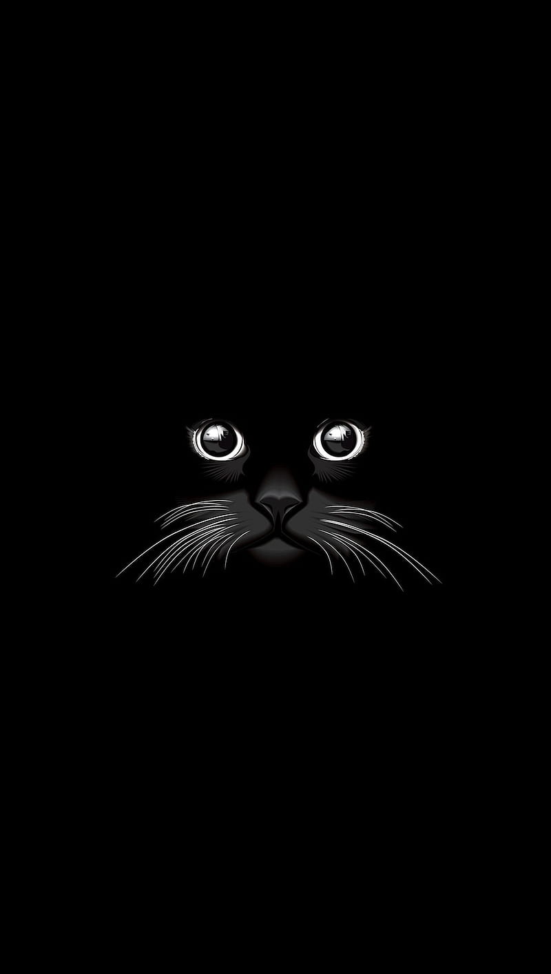 Minimalistic Cat 4K wallpaper  Wallpaper, Cat wallpaper, Cats