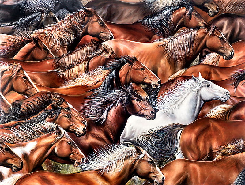 Horses of a Different Color, art, herd, equine, bonito, horse, illustration, artwork, animal, painting, wide screen, HD wallpaper