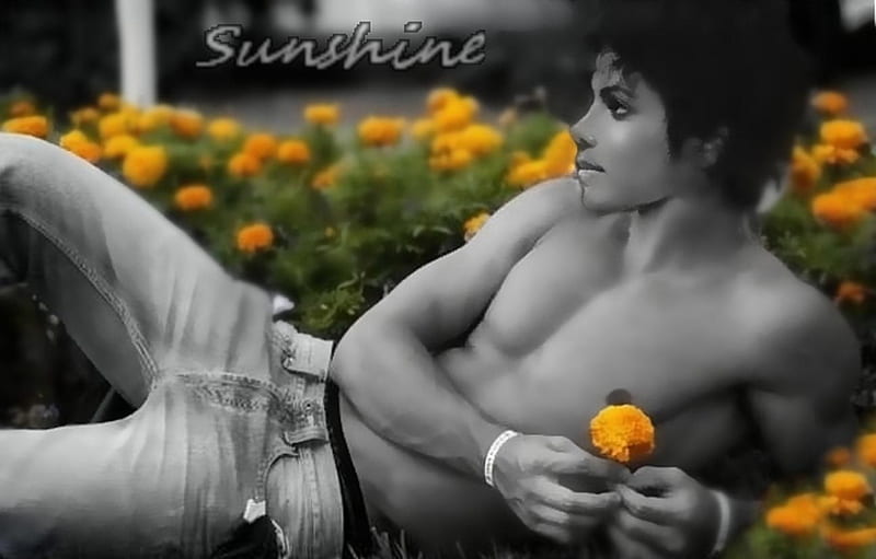 Forever SunShine ;), michael jackson, music, yellow, bonito, man, fan art, young, entertainment, siempre, magical, flowers, movies, sunshine, magnificent, field, HD wallpaper