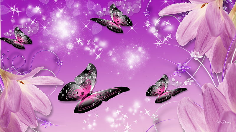 Adoring Butterflies, stars, fairy dust, butterflies, spring, lavender ...