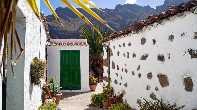 rear door of a spanish hacienda, house, green, mountains, plants, back door, HD wallpaper