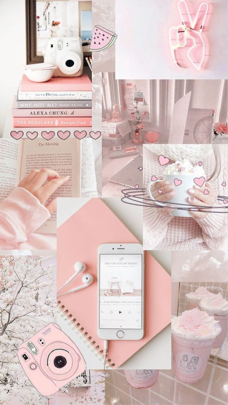 White rose, aestheric, cute, HD phone wallpaper