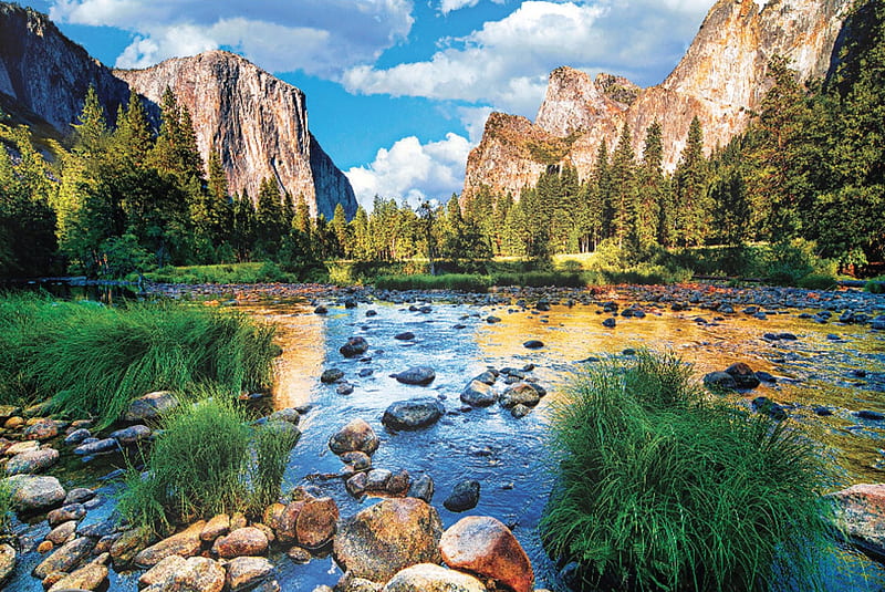 Yellowstone National Park road forest mountains USA 750x1334 iPhone  8766S wallpaper background picture image