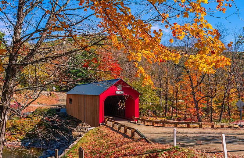 Covered bridge in Gilford, New Hampshire, fall, autumn, USA, bridge, covered, trees, foliage, HD wallpaper