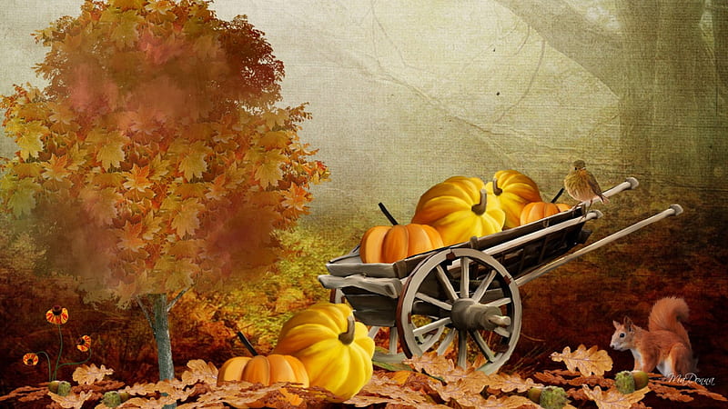 That Autumn Feeling, fall, flowers, autumn, squirrel, orange, leaves, gold, amber, pumpkin, flowers, vintage, harvest, acorns, trees, thanksgiving, nuts, wagon, bird, rich, garden, HD wallpaper