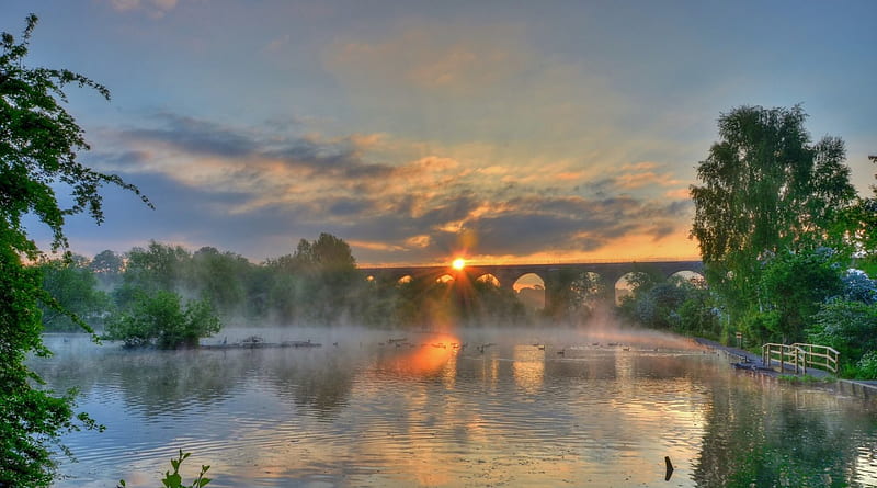 sunrise over a rail bridge by a lake, bridge, ducks, sunrise, trees, lake, fog, HD wallpaper