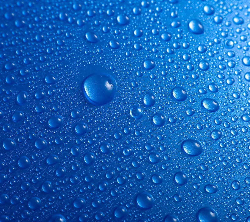 Drops, blue, dew, rain, wet, HD wallpaper