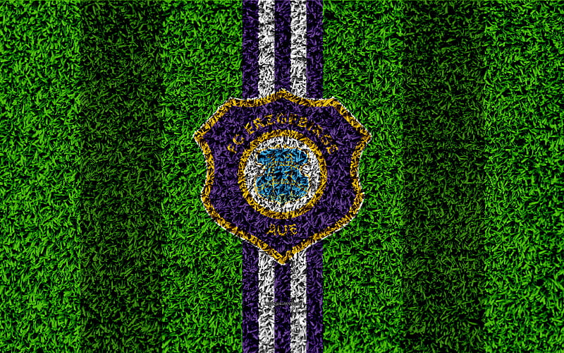 FC Erzgebirge Aue German football club, football lawn, logo, emblem, purple white lines, Bundesliga 2, Aue, Germany, football, grass texture, Aue FC, HD wallpaper