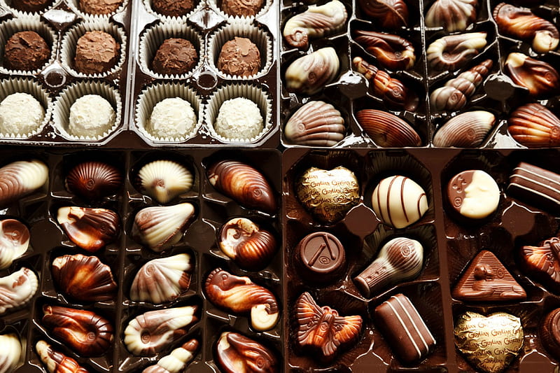 Would you like one, maybe two, seashells, sweets, romance, food, melt, chocolate, confectionary, desenho, chocolates, taste, cocoa, calories, creamy, white, melting, cream, HD wallpaper