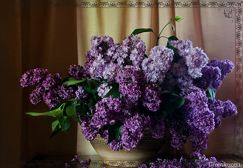 BOUQUET OF LILACS, PRETTY, PURPLE, FRAMED, LILACS, HD wallpaper | Peakpx