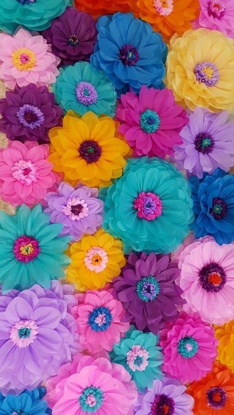 Flowers, cute, HD phone wallpaper