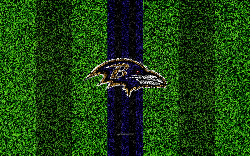 Baltimore Ravens, logo grass texture, emblem, football lawn, blue black lines, National Football League, NFL, Baltimore, Maryland, USA, American football, HD wallpaper