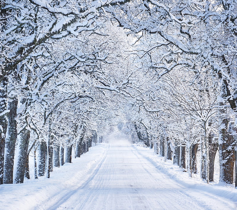 Winter Road, nature, snow, HD wallpaper