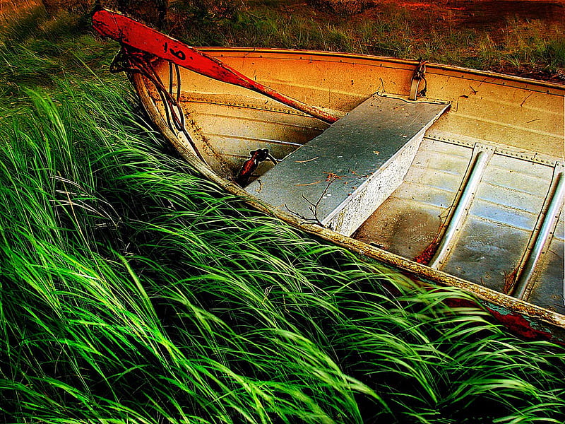 Boat-R, pretty, colorful, riverbank, grass, bonito, graphy, nice, boat, green, beauty, river, amazing, lovely, colors, cool, r, nature, walk, great, rakes, HD wallpaper