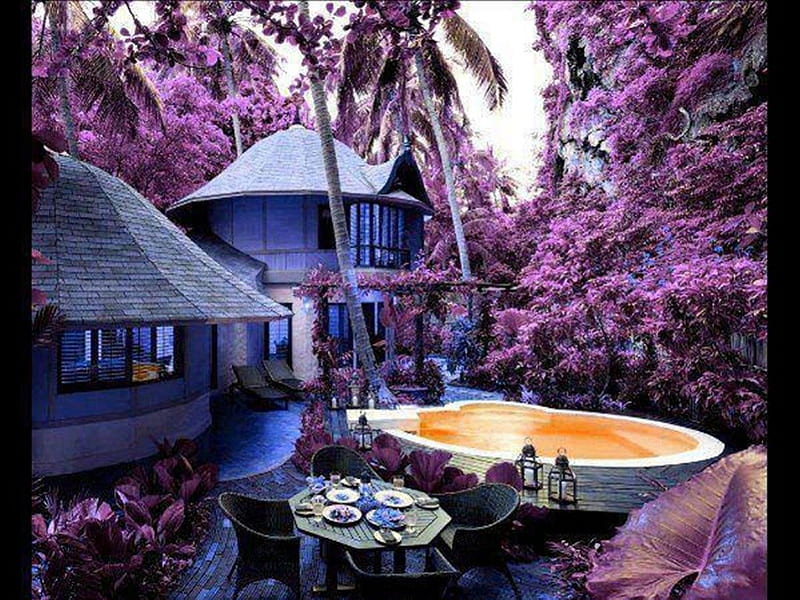 Beautiful Home, patio, table, beautiful colored trees, house, purple, chairs, pool, HD wallpaper