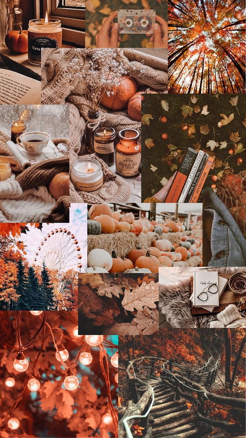 Cute Brown Aesthetic for Phone : Fall Aesthetic I Take You. Wedding Readings. Wedding Ideas. Wedding Dresses. Wedding Theme, Collage Brown, HD phone wallpaper