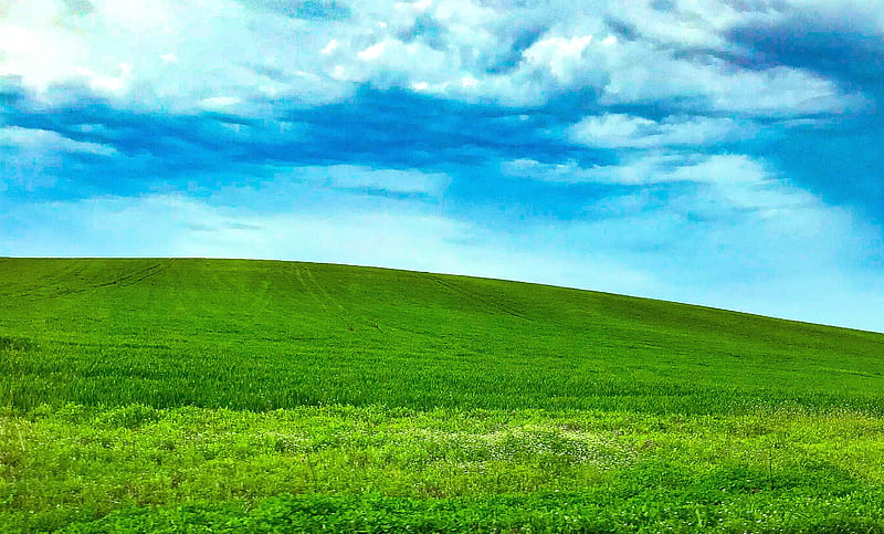 Windows XP may be, nature, spring, HD wallpaper