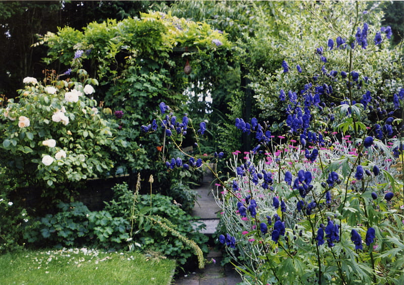 English Garden, blue flowers, england, garden, old home, spring, HD wallpaper