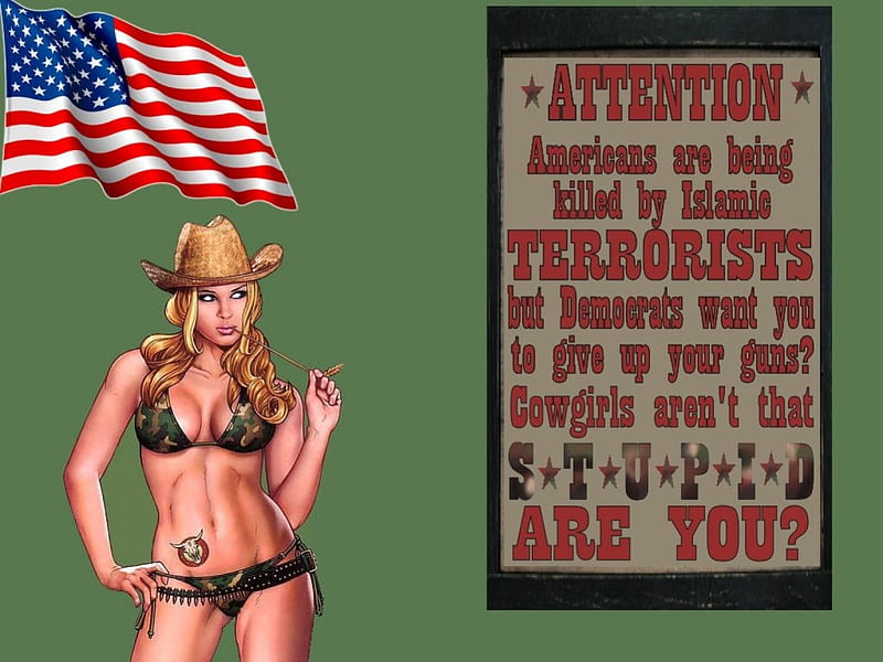 America Under Attack?, female, models, hats, dom, America, fun, women, guns, NRA, bullets, cowgirls, girls, fashion, western, political, style, HD wallpaper