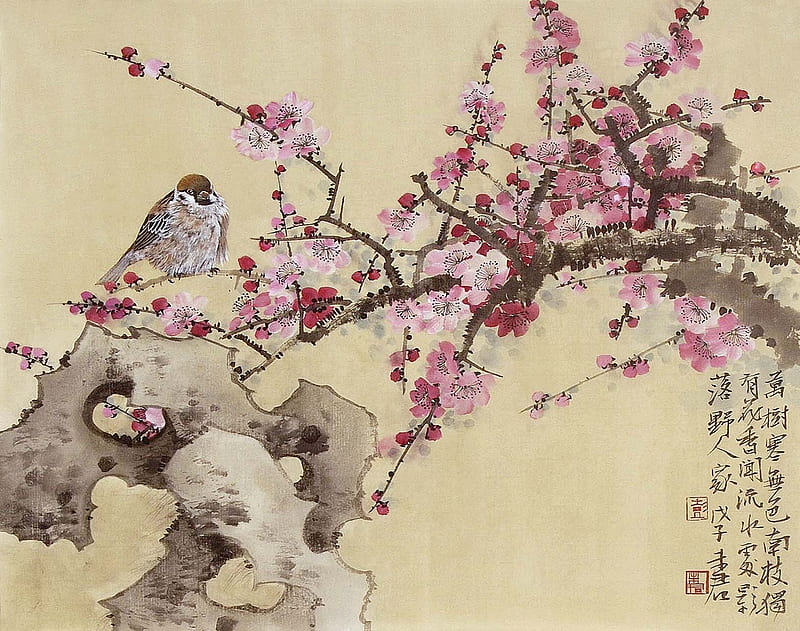 Chinese painting, flori de cires, cherry blossoms, copac, pictura chineza, tree, roz, bird, sparrow, vrabie, pink, HD wallpaper