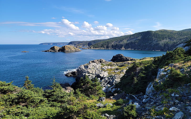 Cape St. Francis, Newfoundland, rocks, coast, sea, clouds, trees, sky, HD wallpaper