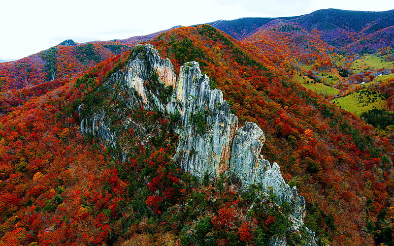 Seneca Rocks, West Virginia, autumn, trees, landscape, fall, usa, colors, HD wallpaper