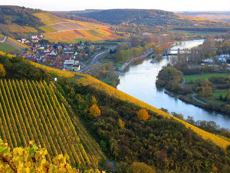Beautiful view of Rhine river, pretty, vineyards, view, Rhine, beauty, nature, Germany, rivers, HD wallpaper