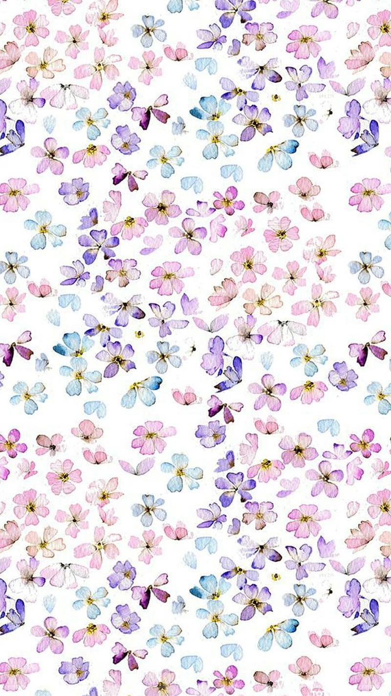 Delicate Flowers 6, flower, soft, white, HD phone wallpaper