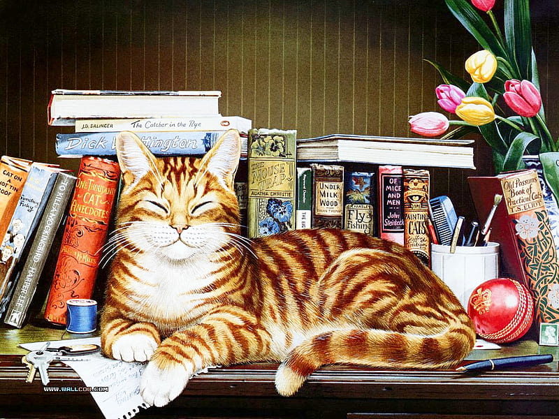 Smart Cat, pencils, pens, keys, colorfulwise cat, books, thread, comb, cat, ball, note, cup, flowers, color, desk, HD wallpaper