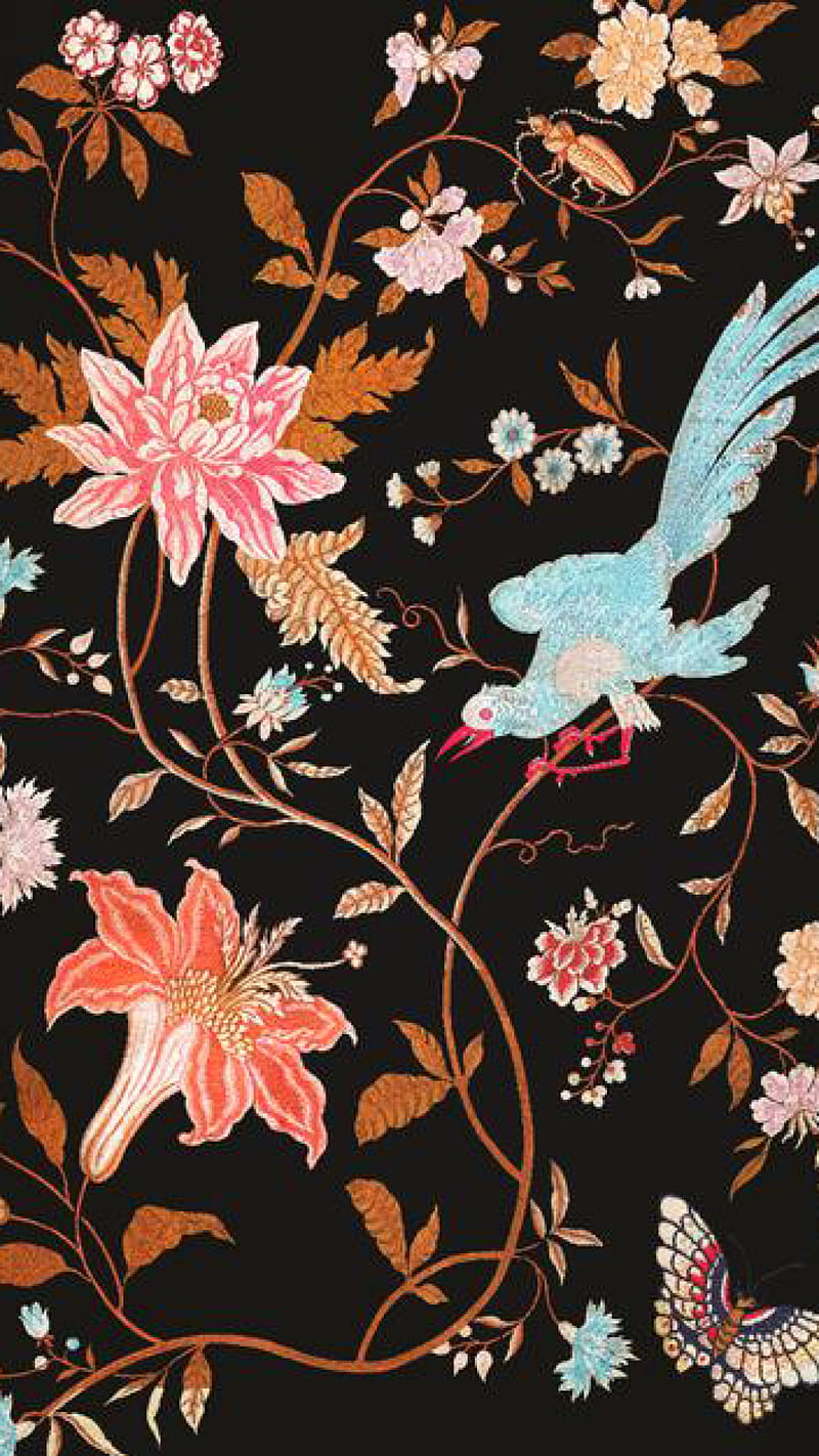 Vintage Bird Wallpapers  Top Free Vintage Bird Backgrounds   WallpaperAccess