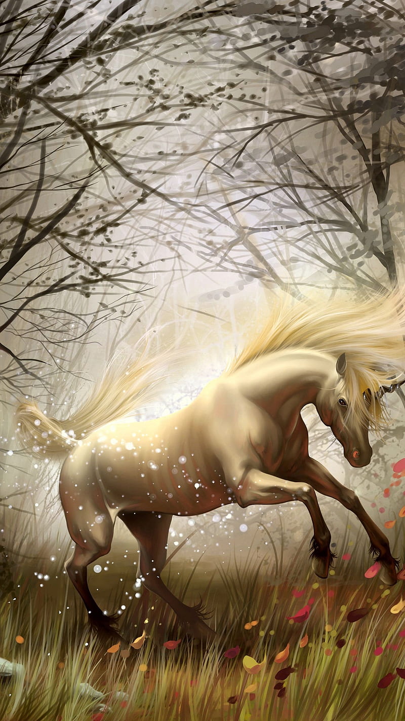 White Horse , transformation, wind, magic, wood, fantasy, HD phone wallpaper
