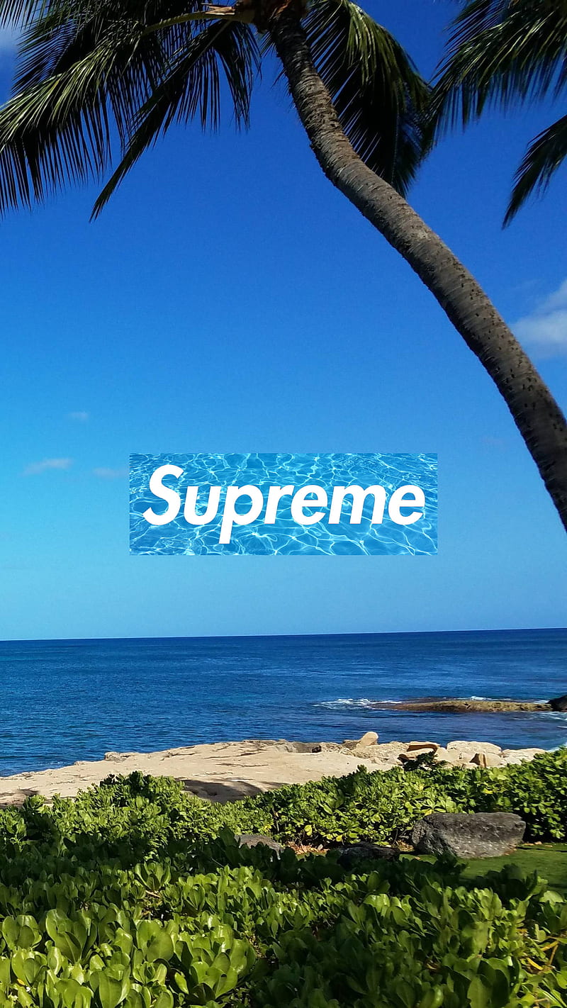 Supreme Beach, beach, brands, flowers, light, logo, logos, summer, supreme, tropical, HD phone wallpaper