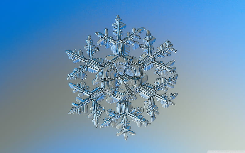 Real Snowflake Under Microscope, nature, snowflake, snow, winter, HD  wallpaper | Peakpx