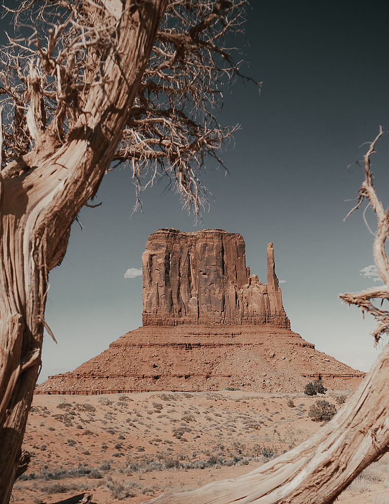 canyon, rock, desert, landscape, nature, HD phone wallpaper