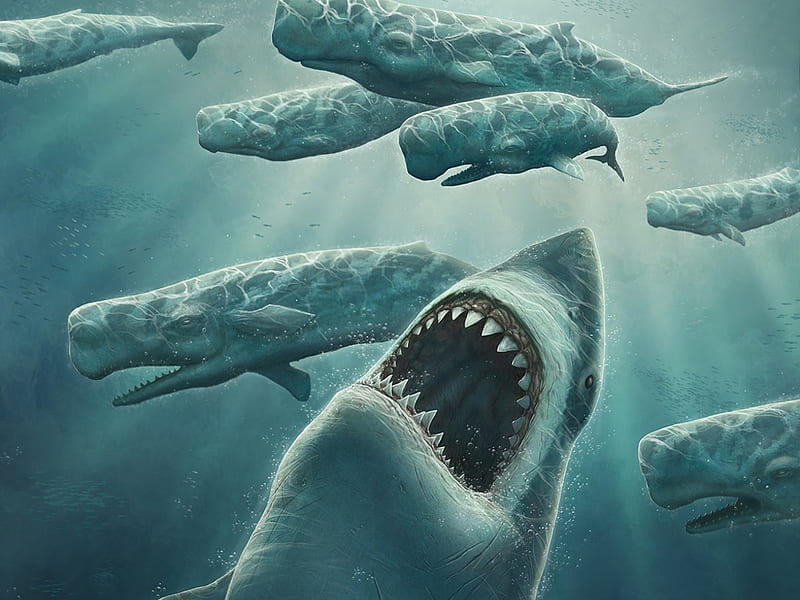 Megalodon, whales, shark, giant, fantasy, ocean, HD wallpaper | Peakpx