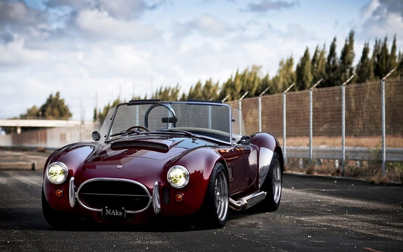 Cobra Car, drive, wheel, Cobra, car, HD wallpaper | Peakpx