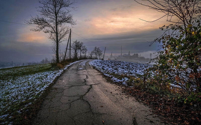 fog, road, gloomy morning, asphalt, rural landscape, HD wallpaper